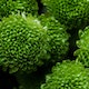 Footer Image - Flower